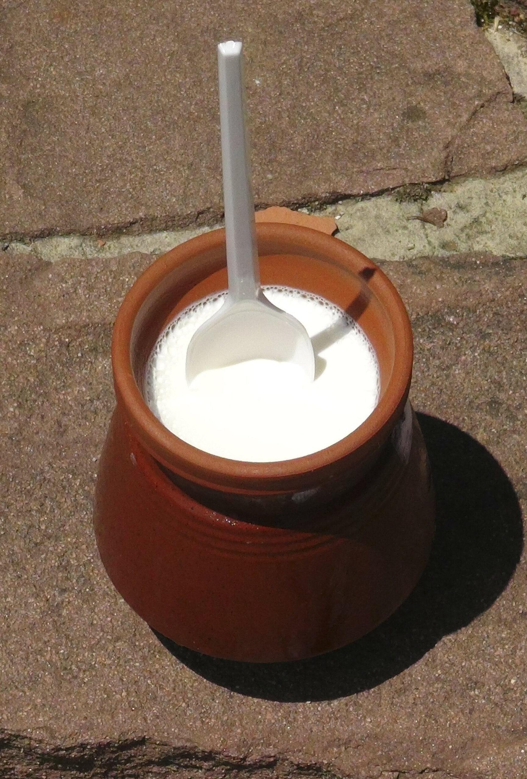 EL YOGUR B⁄LGARO: UN ELIXIR DE LONGEVIDAD Y MILAGRO DIET…TICO