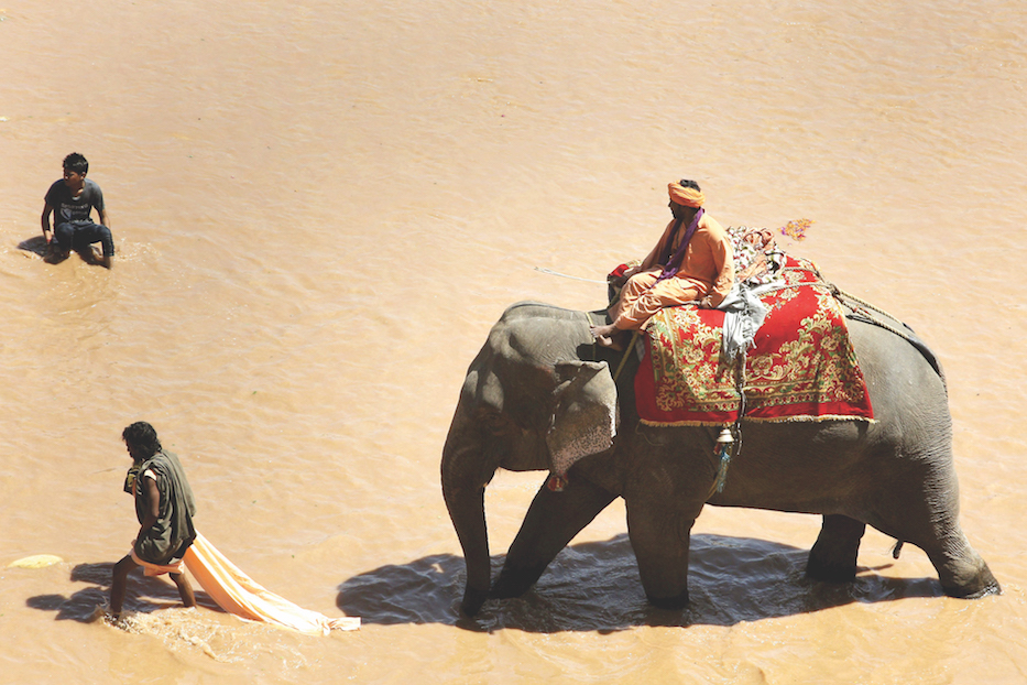 EN LA INDIA: El Paso de los Elefantes