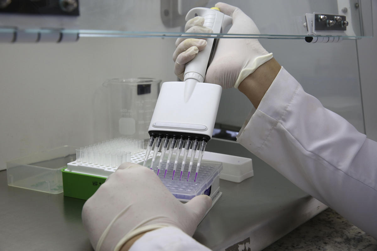 CIENTÕFICOS TRABAJAN CONTRARRELOJ PARA DESCUBRIR LAS CARACTERÕSTICAS DEL ZIKA