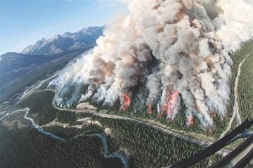 2-Alberta incendio