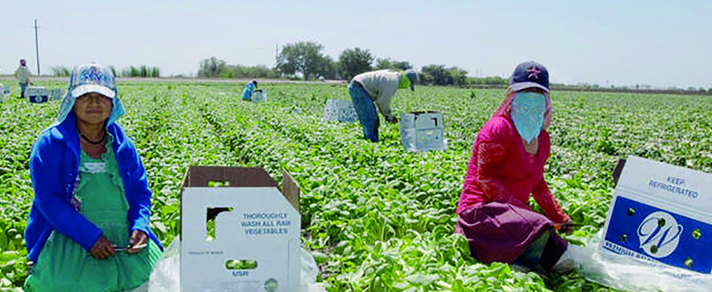 Ottawa anuncia ayuda para los trabajadores migrantes vulnerables