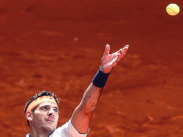 REGRESO DE DEL POTRO Y DERROTA DE NADAL