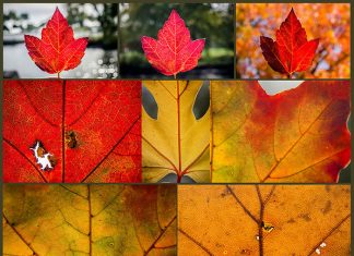 El valor de los “otros” y la identidad realmente compartida