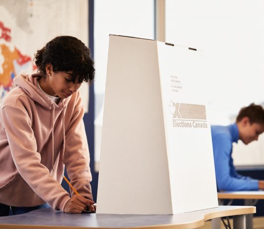 Escolarización y participación