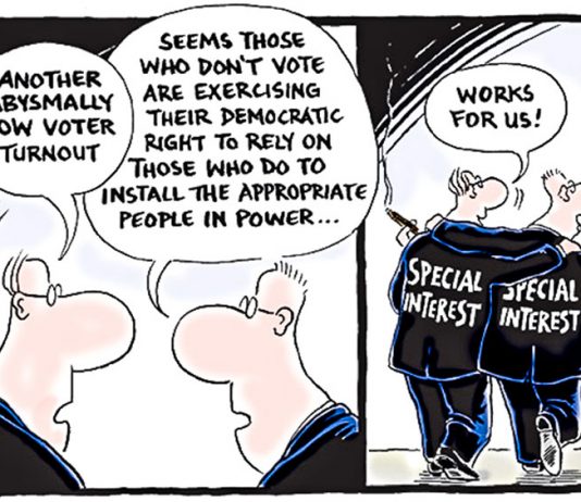 El bajo “turn out” y el cruce entre edad, educación e ingresos.