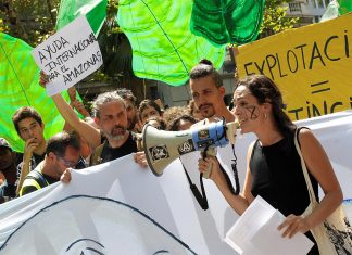 The Amazon is on fire – here are 5 things you need to know