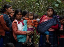 Ser indígena y ser mujer: una realidad que debería involucrarnos de verdad
