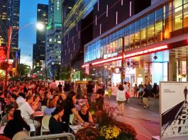Guía práctica para sobrevivir al TIFF 2019