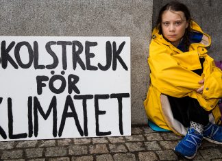 Ya lo sabíamos… pero ahora una niña decidida nos lo muestra