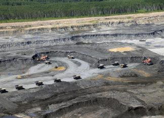 Sobre emergencias climáticas y disonancias cognitivas