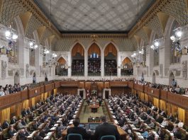 How progressive voters can truly win in future Canadian elections