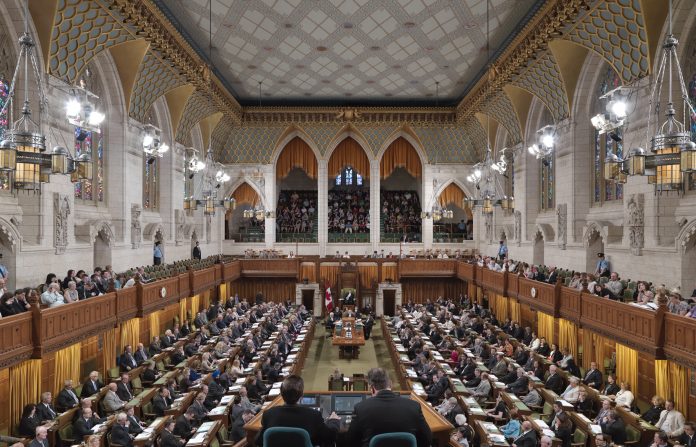 parliament foto parliament library
