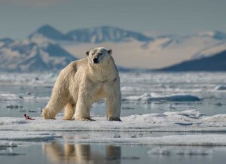 Votar y contar bien lo que pasa en el planeta