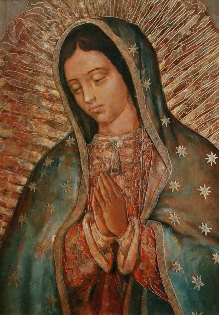 guadalupe 2