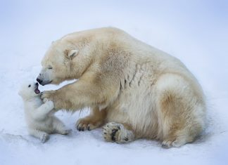 La década en la que no seremos inocentes