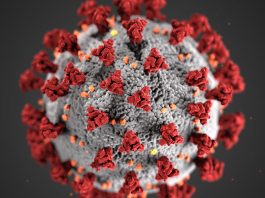 Impacto viral: biología, vida cotidiana y brechas de género