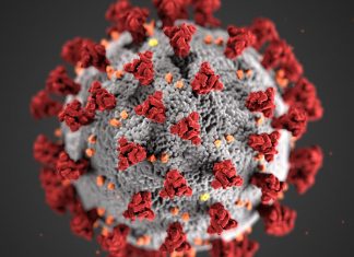 Impacto viral: biología, vida cotidiana y brechas de género