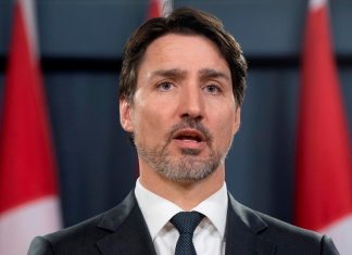 Comunicados del Gov. Federal (actualización diaria)