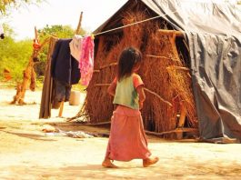 ADN, territorio en disputa y voracidad colonial