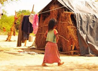 ADN, territorio en disputa y voracidad colonial