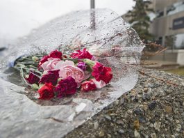 Let’s call the Nova Scotia mass shooting what it is: White male terrorism