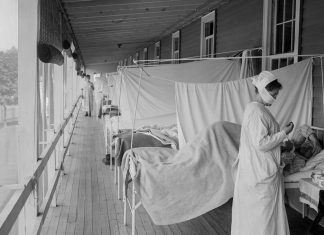 La Spanish Flu de 1918. Piezas de un nuevo modelo para armar (1ª parte)