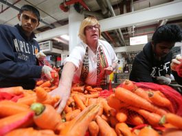 Listado de Food-banks y servicios de ayuda a inmigrantes y refugiados