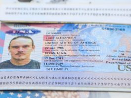 En medio de la plaga: los viejos buitres, y los mercenarios de siempre