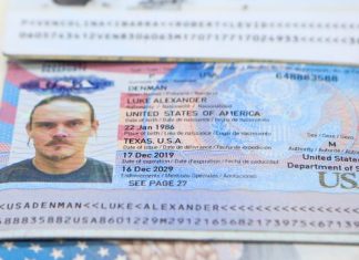 En medio de la plaga: los viejos buitres, y los mercenarios de siempre