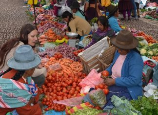 La urgencia de un plan de alimentación para la pospandemia en América Latina