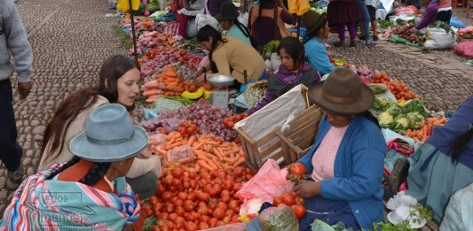 La urgencia de un plan de alimentación para la pospandemia en América Latina