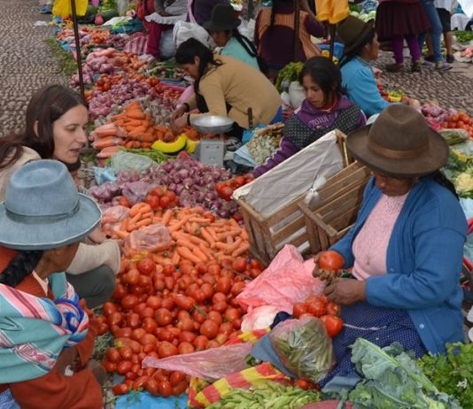 La urgencia de un plan de alimentación para la pospandemia en América Latina