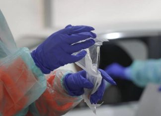 El coronavirus y la fuerza de la selección natural