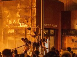 Fuego, racismo, pájaros y monstruos al sur de la frontera