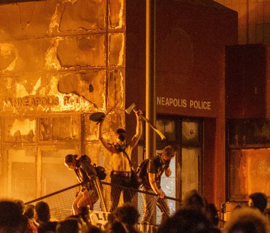 Fuego, racismo, pájaros y monstruos al sur de la frontera