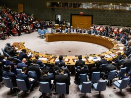 ¿Por qué nuevamente se le negó a Canadá un lugar en el Consejo de Seguridad de la ONU?