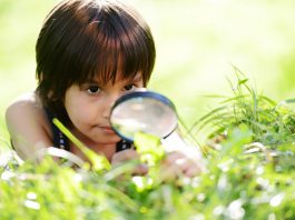 8 summer activities to promote kids’ healthy development during COVID-19
