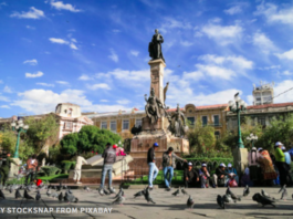 Movimiento al Socialismo promete reconstruir Bolivia