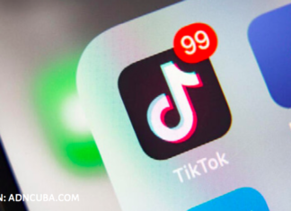 Denuncian una red de pedofilia en Tik Tok