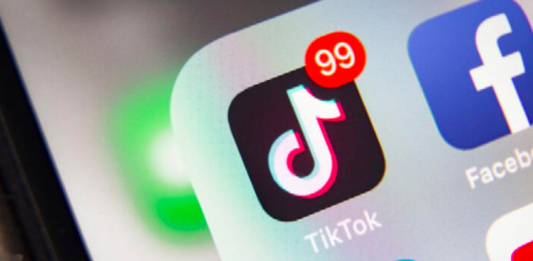 Denuncian una red de pedofilia en Tik Tok