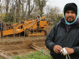 Sin los trabajadores agrícolas temporales no habría granjas, reconocen empleadores