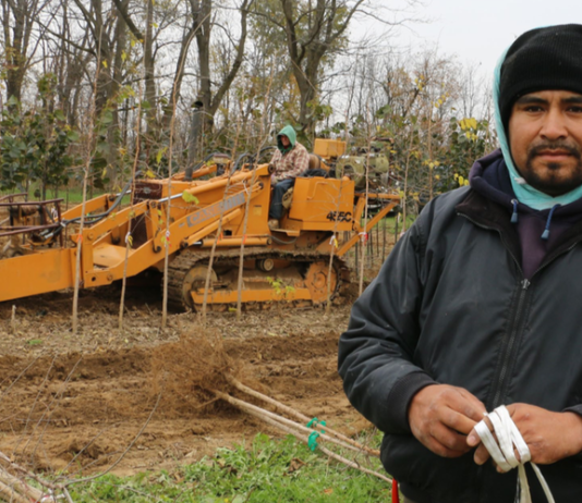 Sin los trabajadores agrícolas temporales no habría granjas, reconocen empleadores