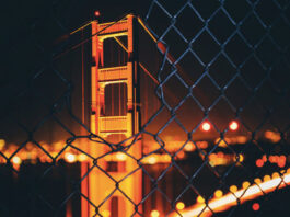 Félix Sánchez: el encanto de construir un mundo con lo paradójico