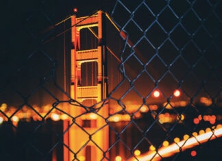 Félix Sánchez: el encanto de construir un mundo con lo paradójico