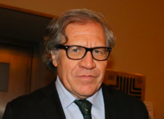 Bolivia: los “equívocos” de la OEA y el reclamo de renuncia de Luis Almagro