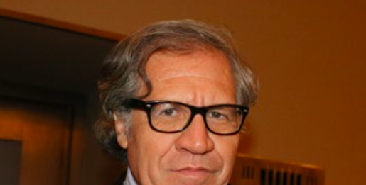 Bolivia: los “equívocos” de la OEA y el reclamo de renuncia de Luis Almagro
