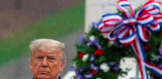Trump homenajea a excombatientes de EE.UU. en Día de Veteranos