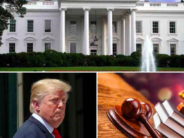 Descansa en paz, Donald Trump