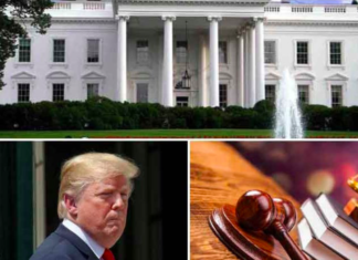 Descansa en paz, Donald Trump