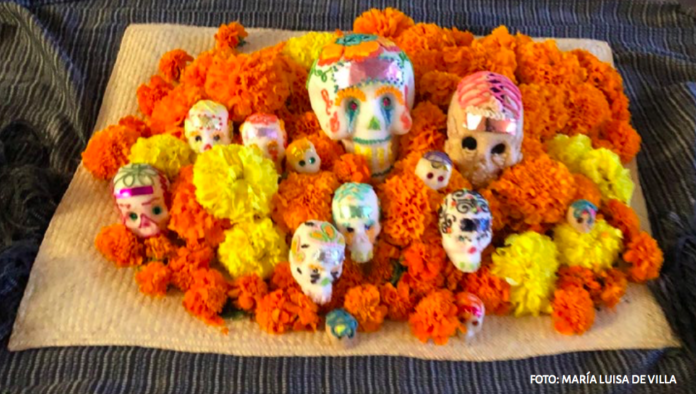 Pag 6. cama de cempasuchil